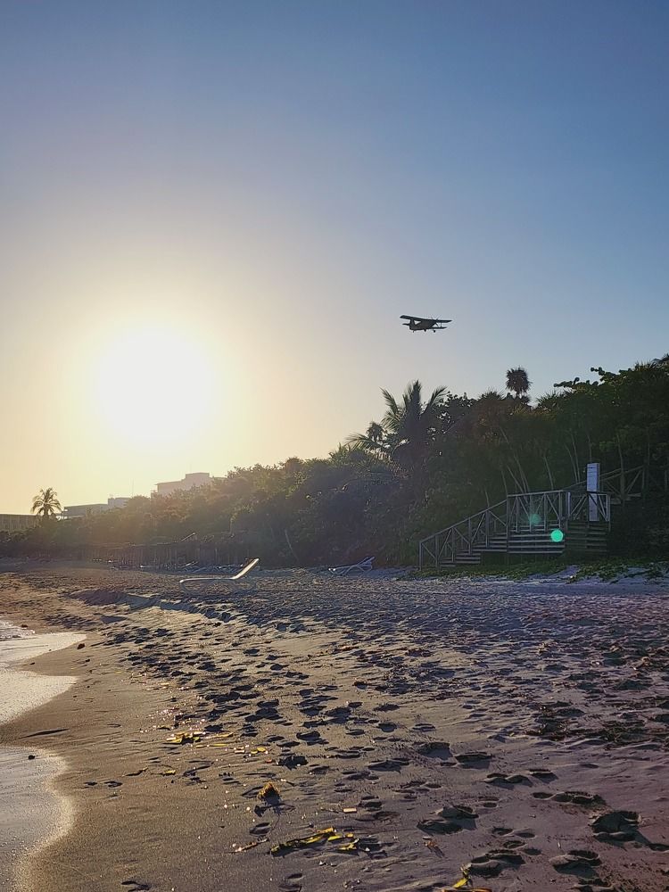 Фотография автора Al