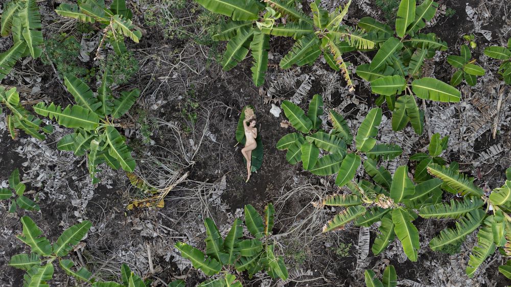 Фотография автора Silaev Konstantin