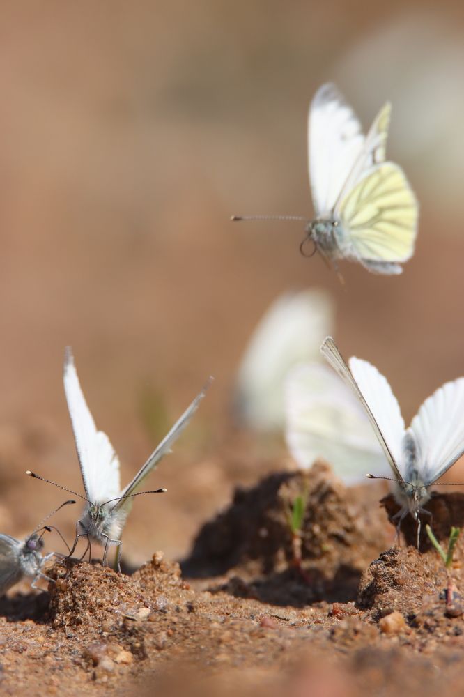 Photograph by Александр Морозов