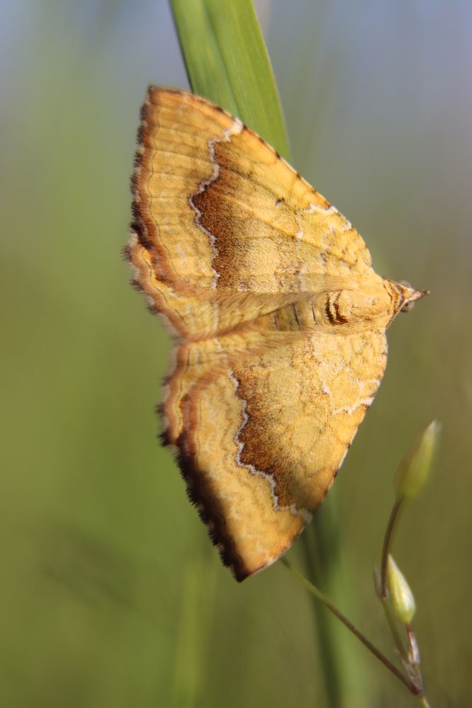 Photograph by Александр Морозов