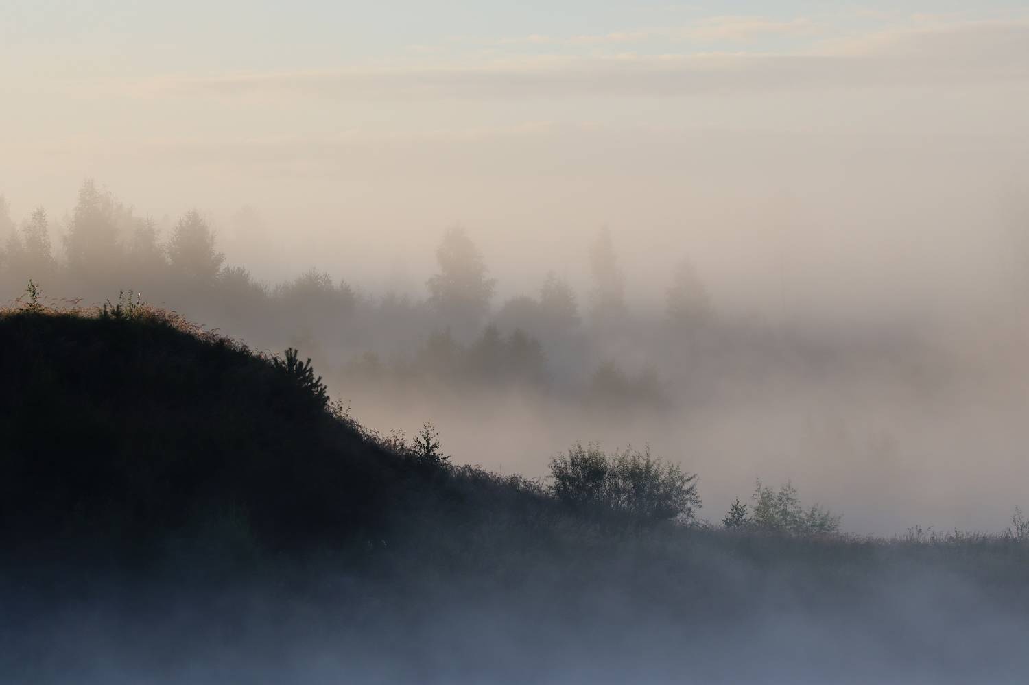 Photo #9235984