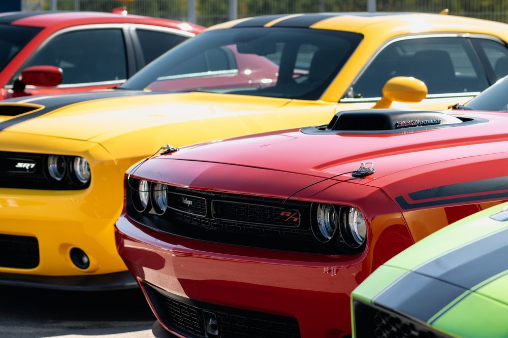 Photograph by Виталий Потапенок