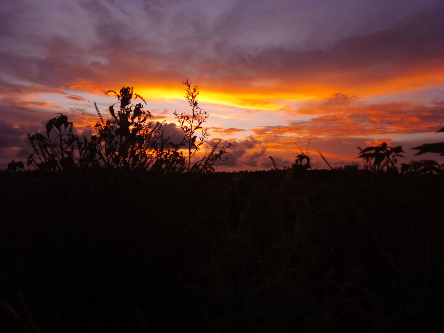 Photo #9236019