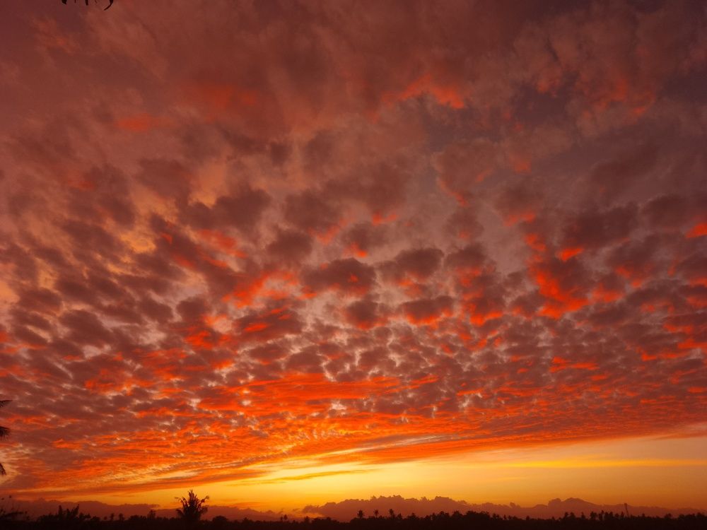 Photo #9236021