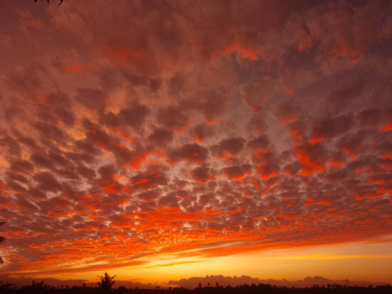 Photo #9236021