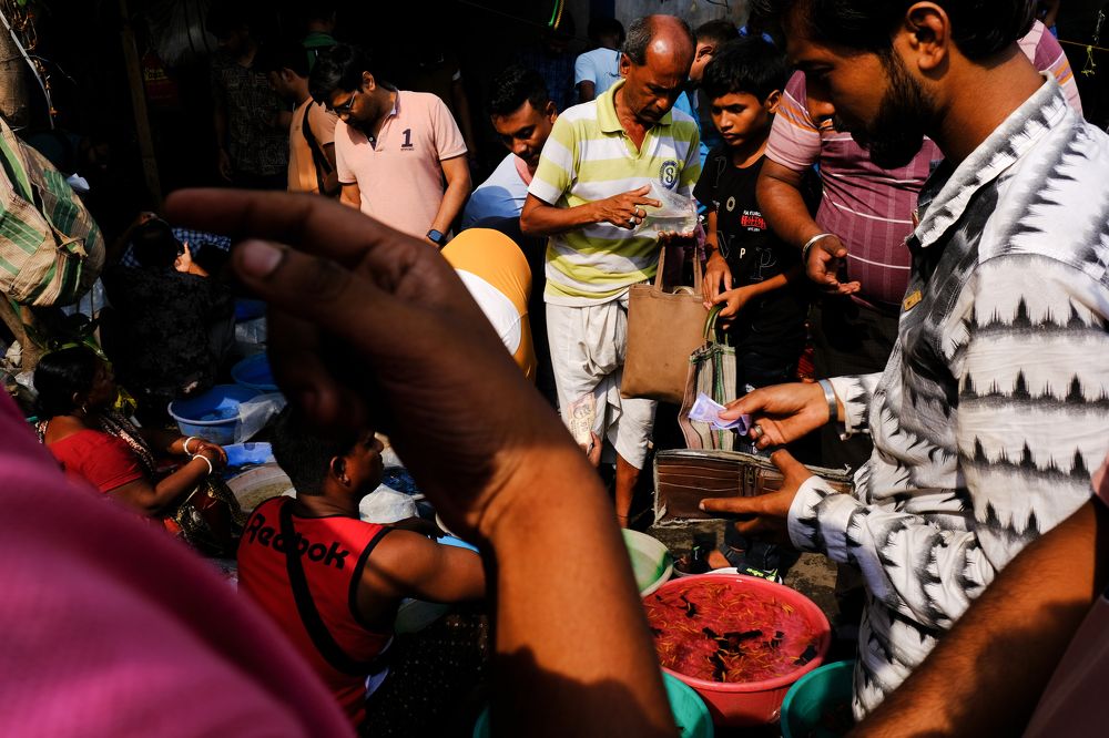 Photograph by Debartha Saha