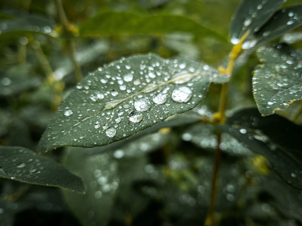 Photograph by Алексей Попович