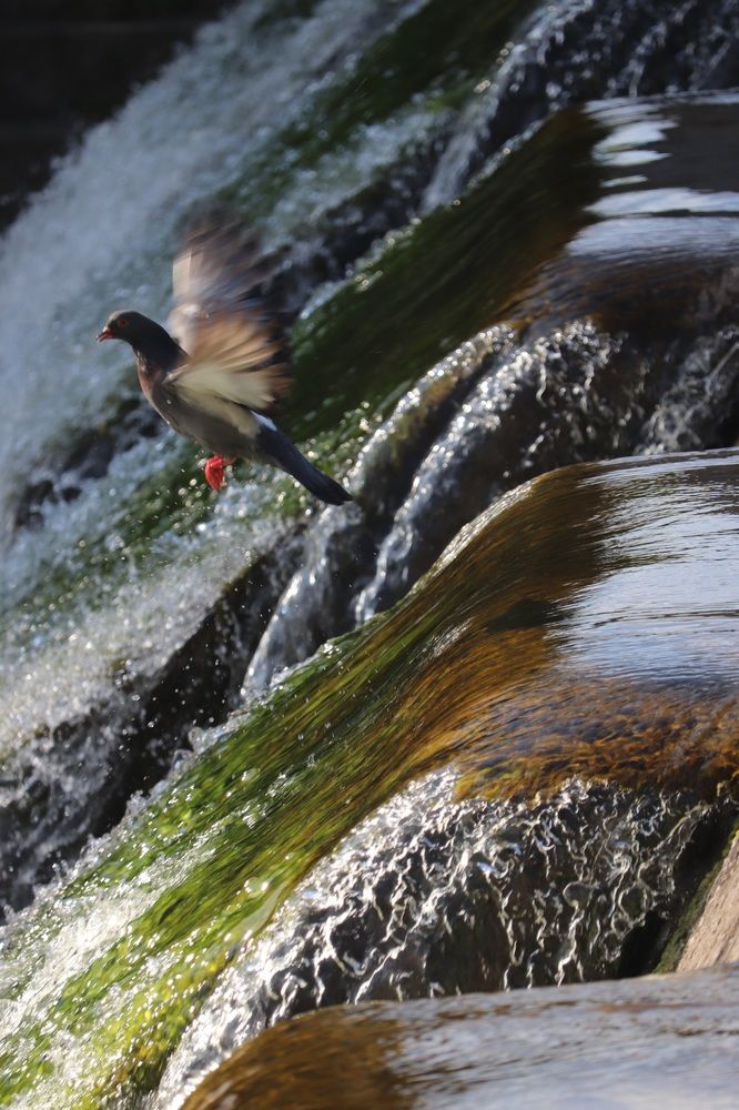 Photograph by Алексейчик Дмитрий