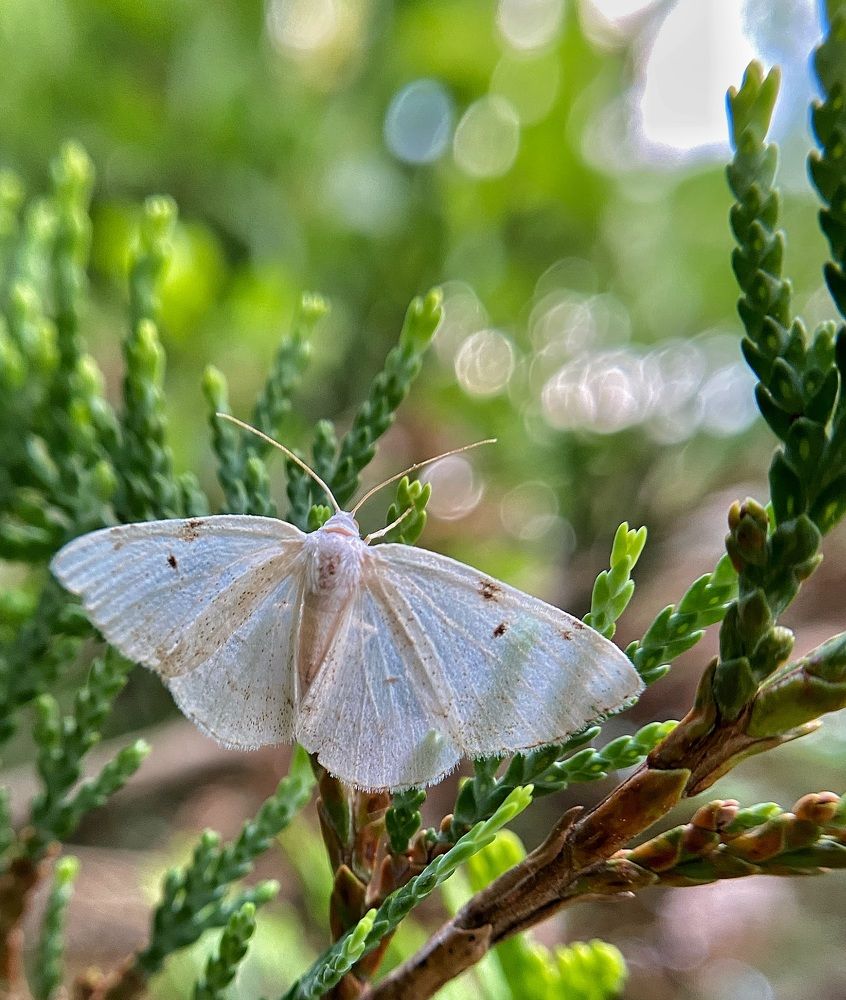 Photograph by Ирина Ивина