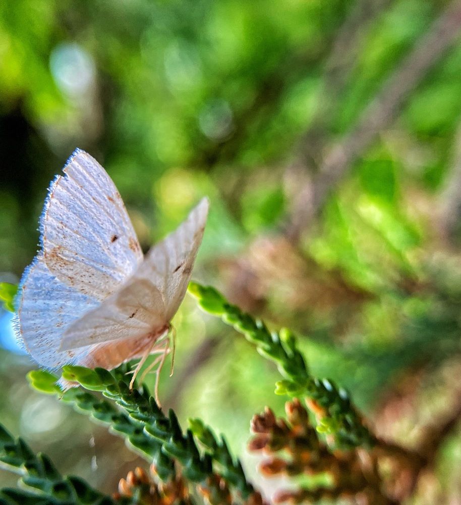 Photograph by Ирина Ивина