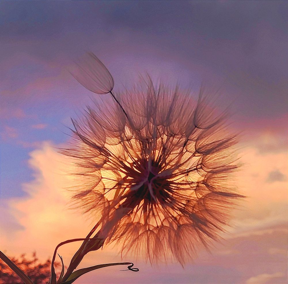 Photograph by Олеся Белова