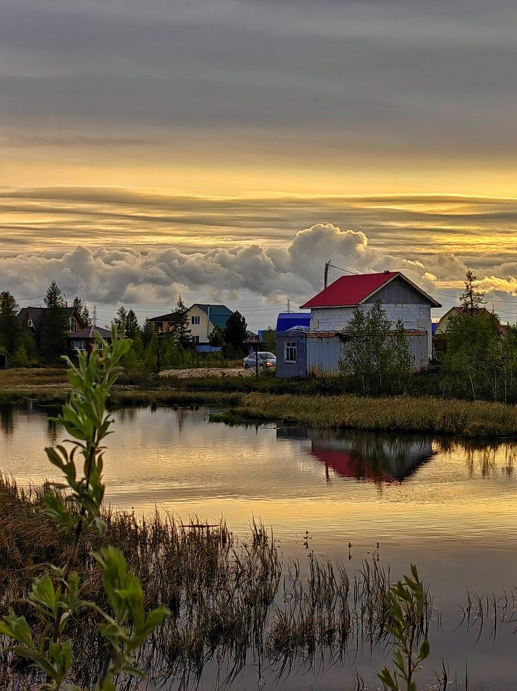 Летний пейзаж