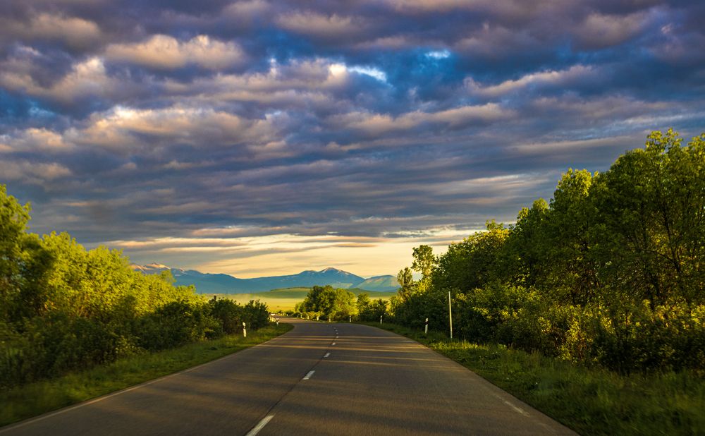 Photograph by Alex Kalpus