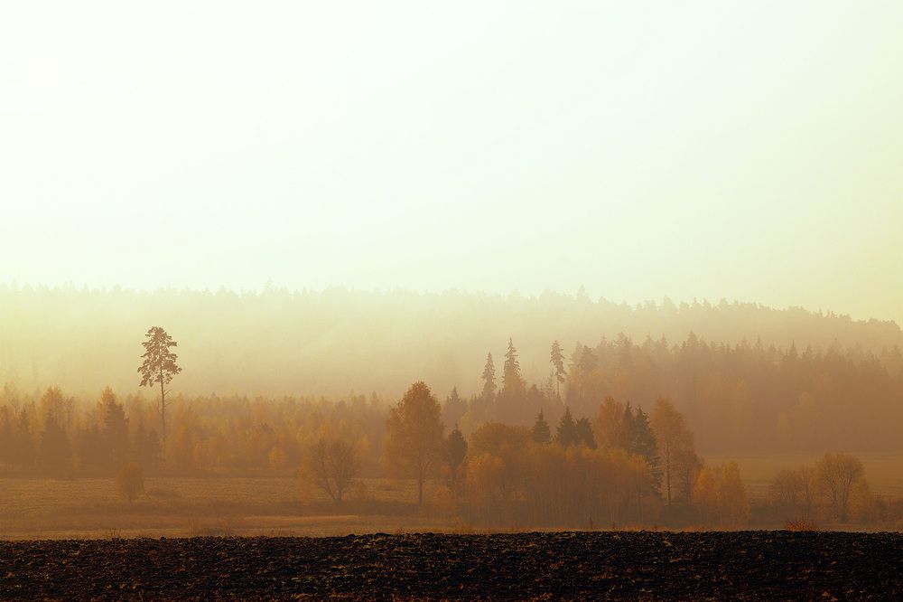 Photograph by Михаил Копанс