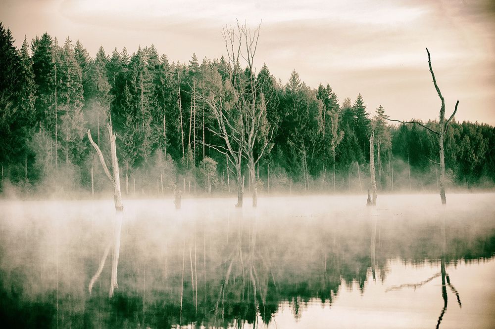 Photograph by Михаил Копанс