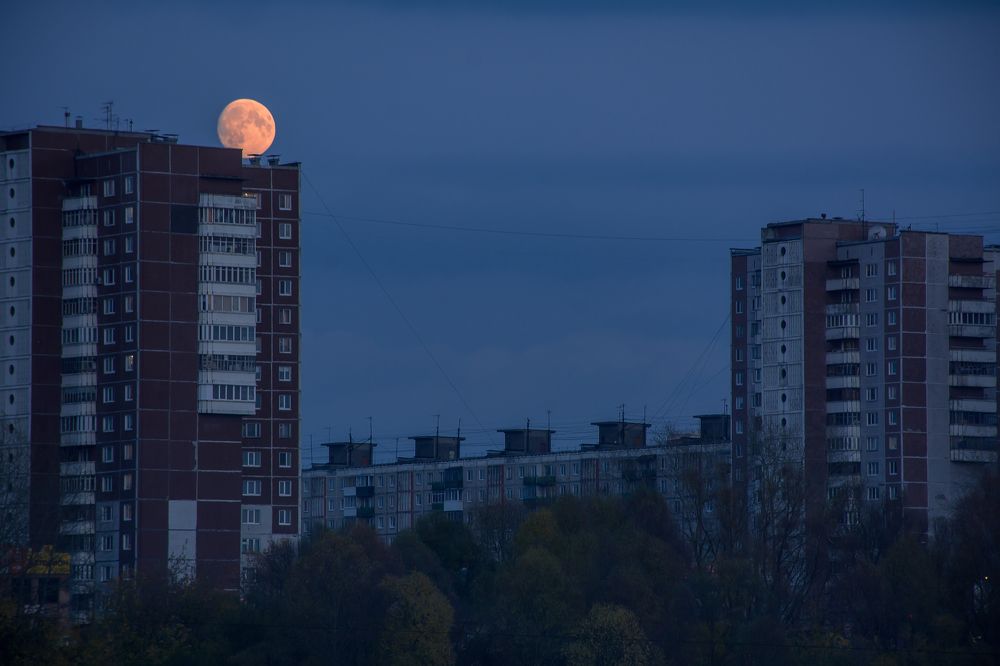 Photograph by Соколова Елена