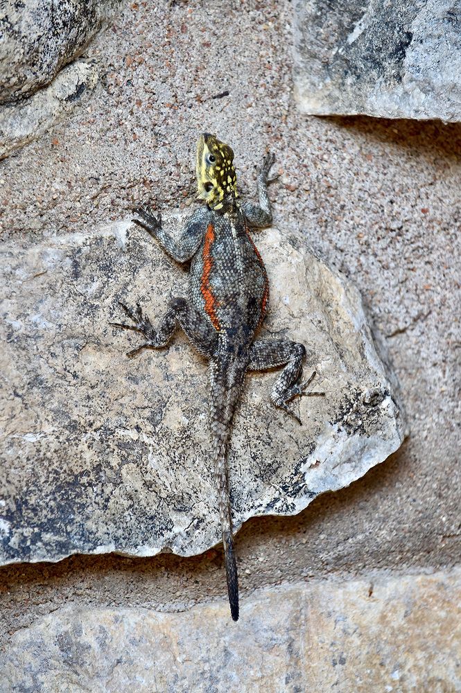 Photograph by Михаил Копанс