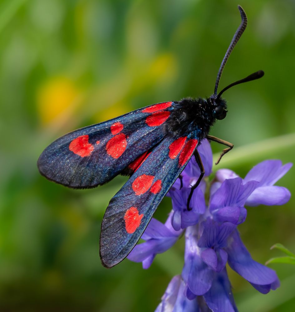 Photograph by Марина Новожилова