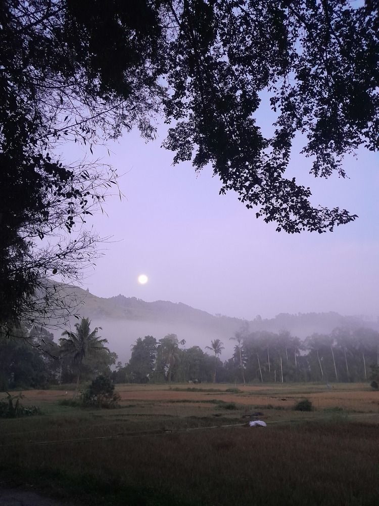 Early Morning Tasbih