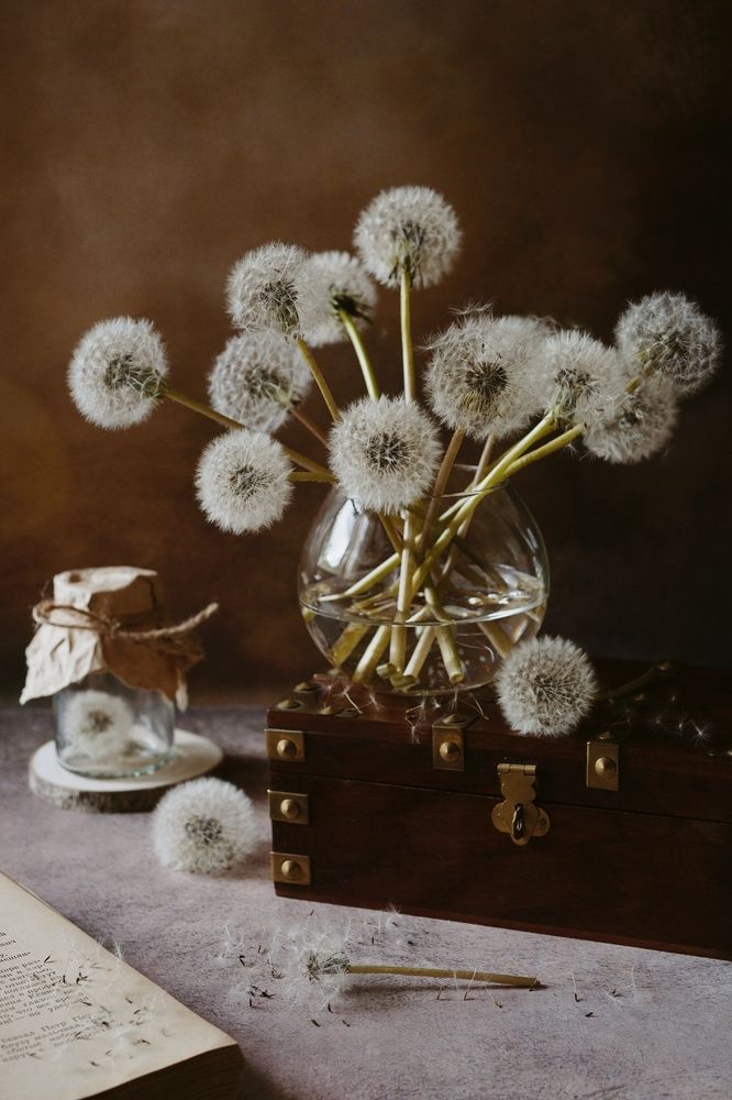 Photograph by Ольга Вороная