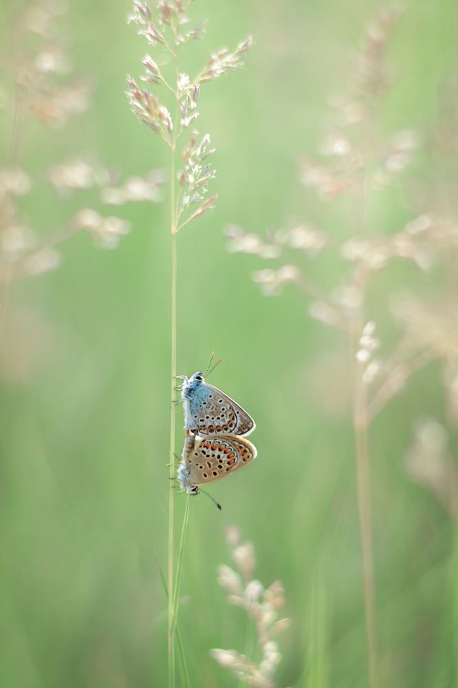 Photograph by Воинкова Ирина