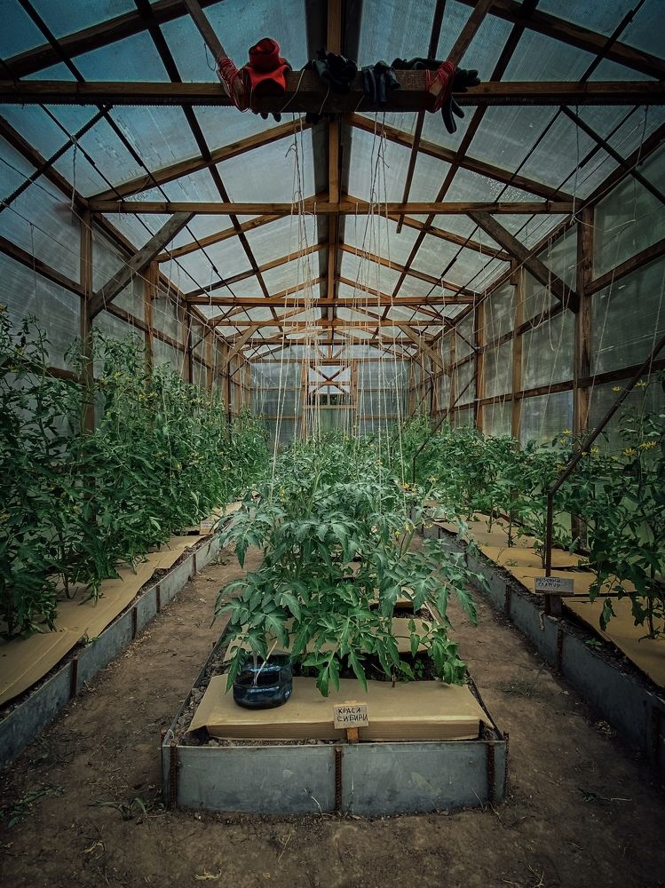 Photograph by Юлия Пыльцева