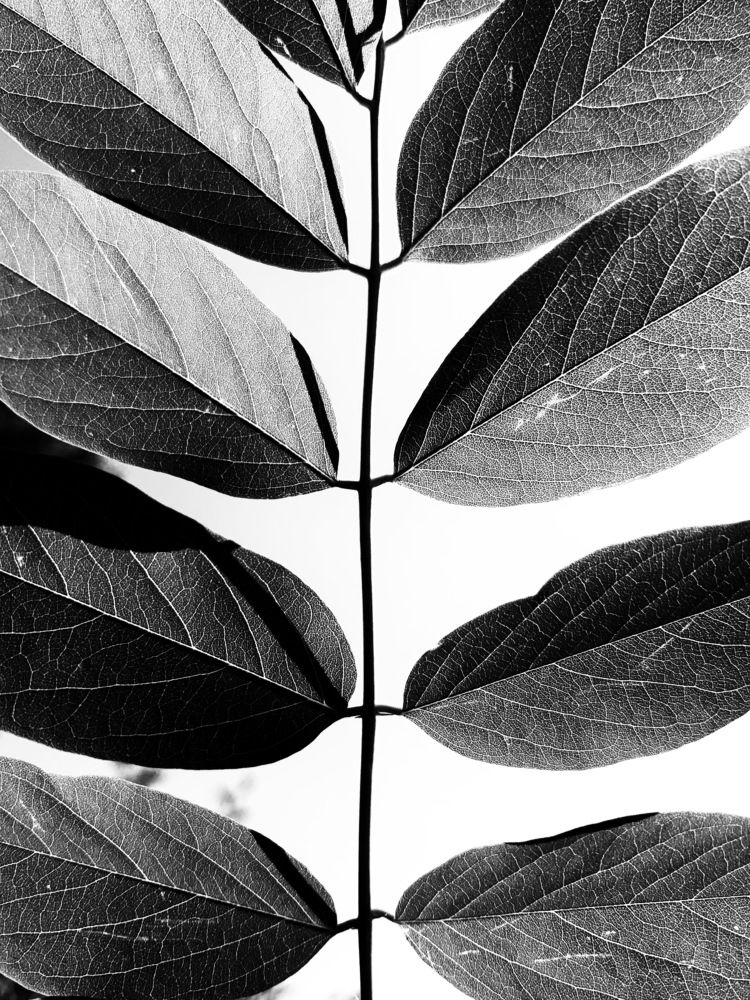 Photograph by Mohammad Aamir