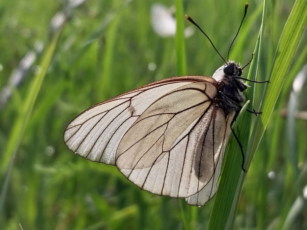 Photograph by Юлия Фирман