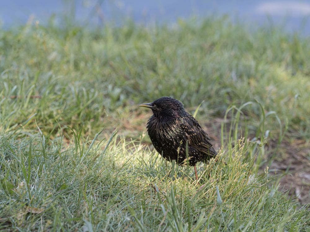 Photograph by Юрий Фокин