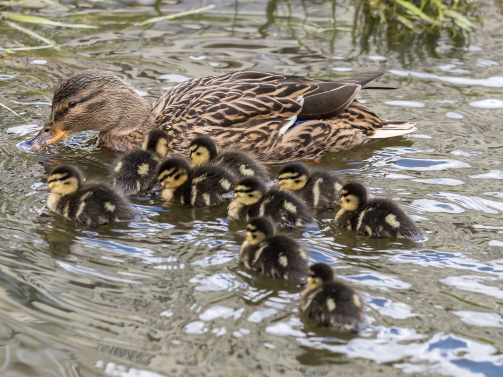 Photograph by Юрий Фокин