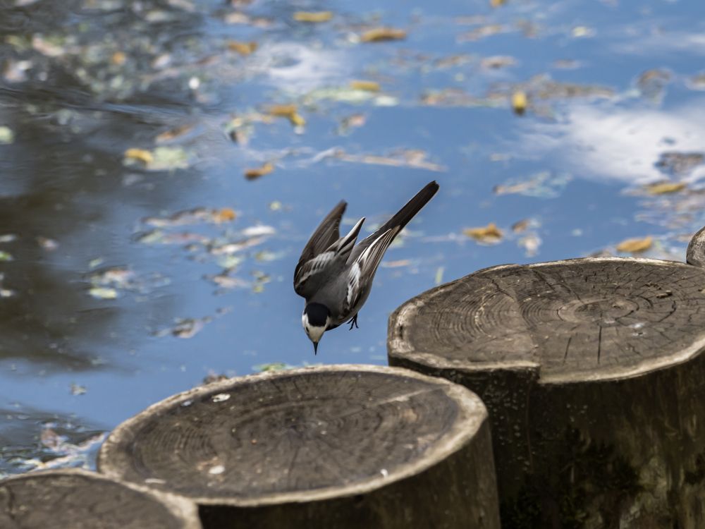 Photograph by Юрий Фокин