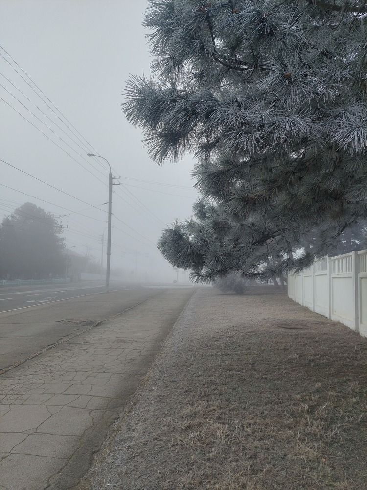 Photo #9236788