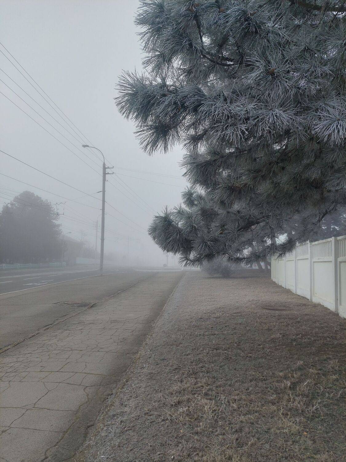 Photo #9236788