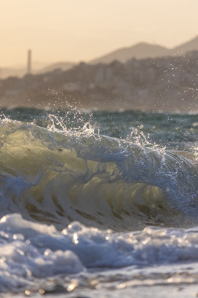 Photograph by Panagiotis Ioannou