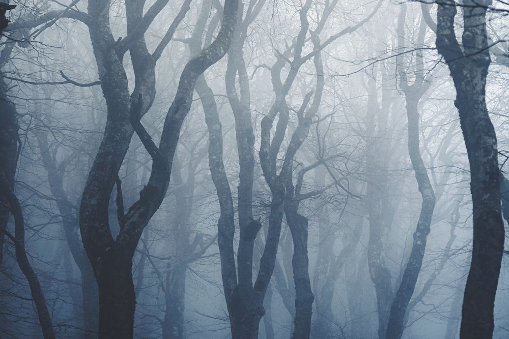 Photograph by Полякова Наталия