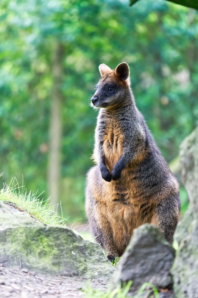 Photograph by Ilja Enger-Tsizikov