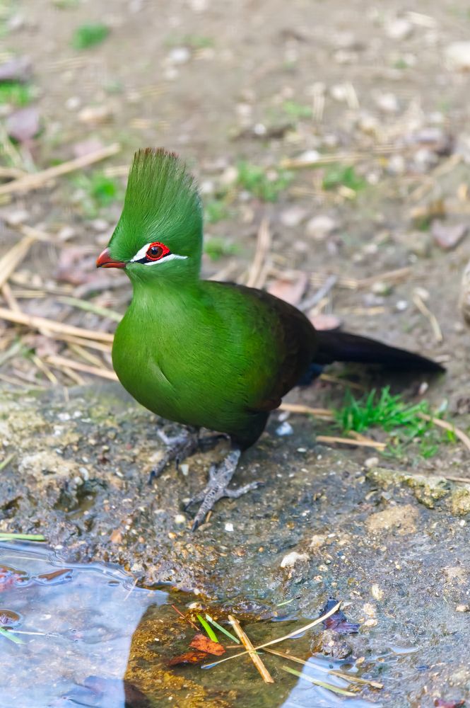 Photograph by Ilja Enger-Tsizikov