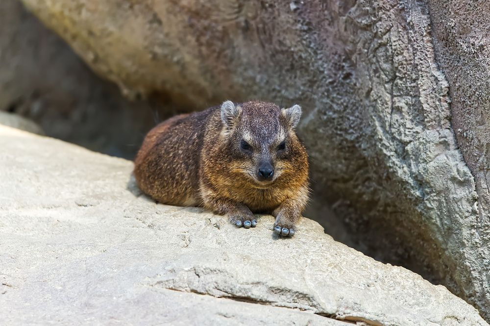 Photograph by Ilja Enger-Tsizikov