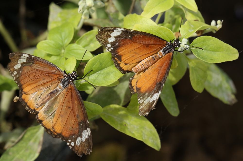 Photograph by Борис Лишневский