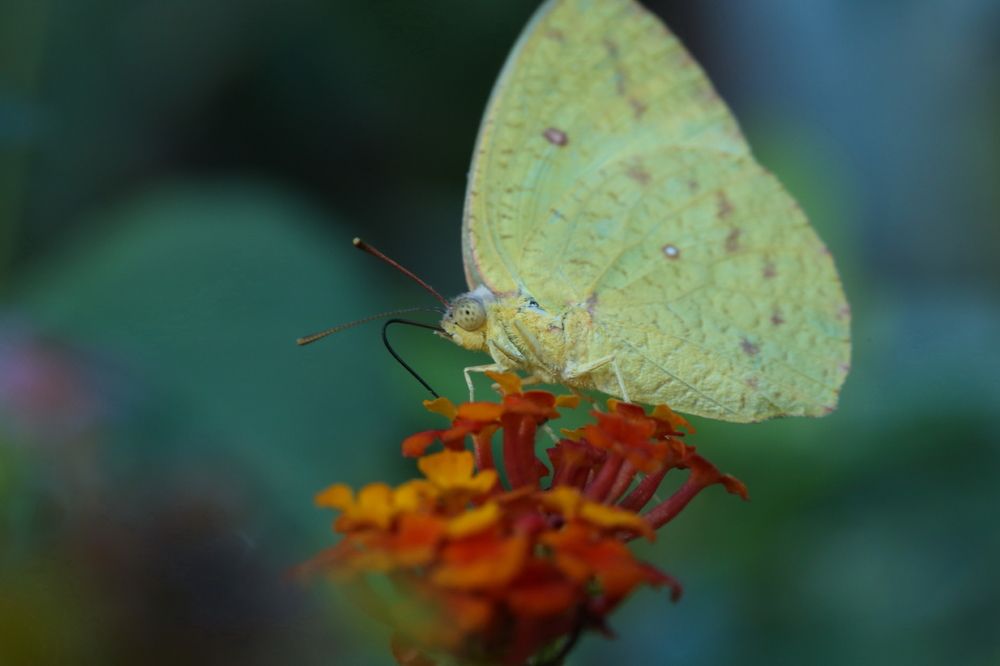 Photograph by Борис Лишневский