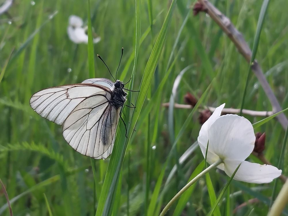 Photograph by Юлия Фирман