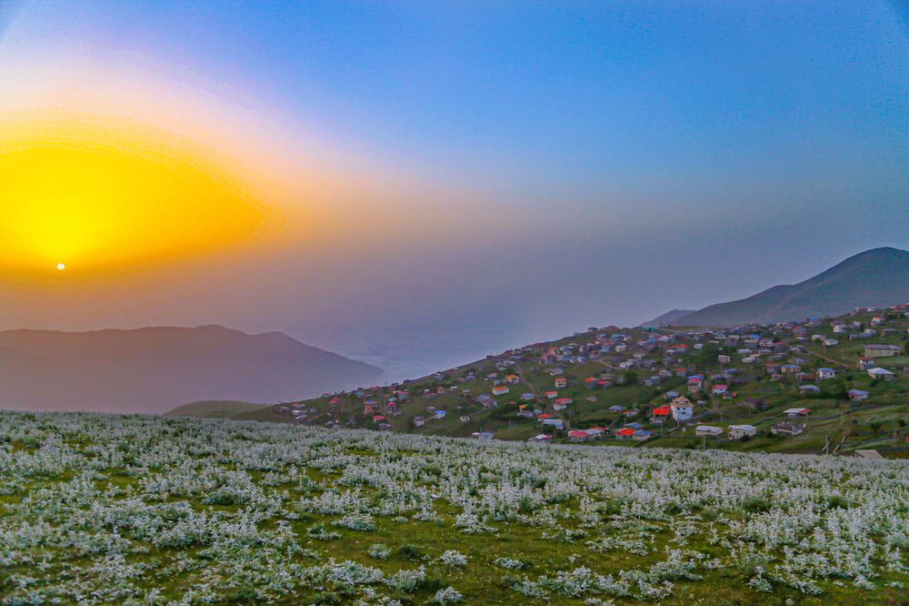 Photograph by Mohammadreza Majlesifar