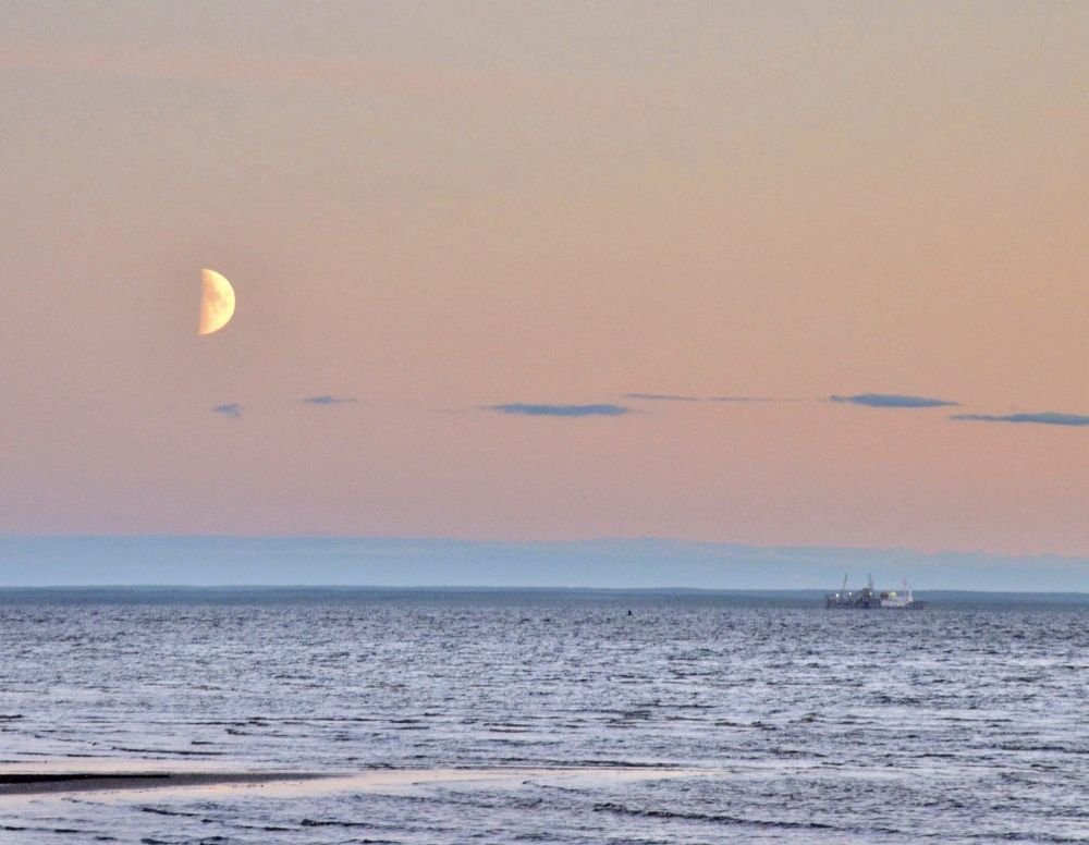 Photograph by Елена Красильникова