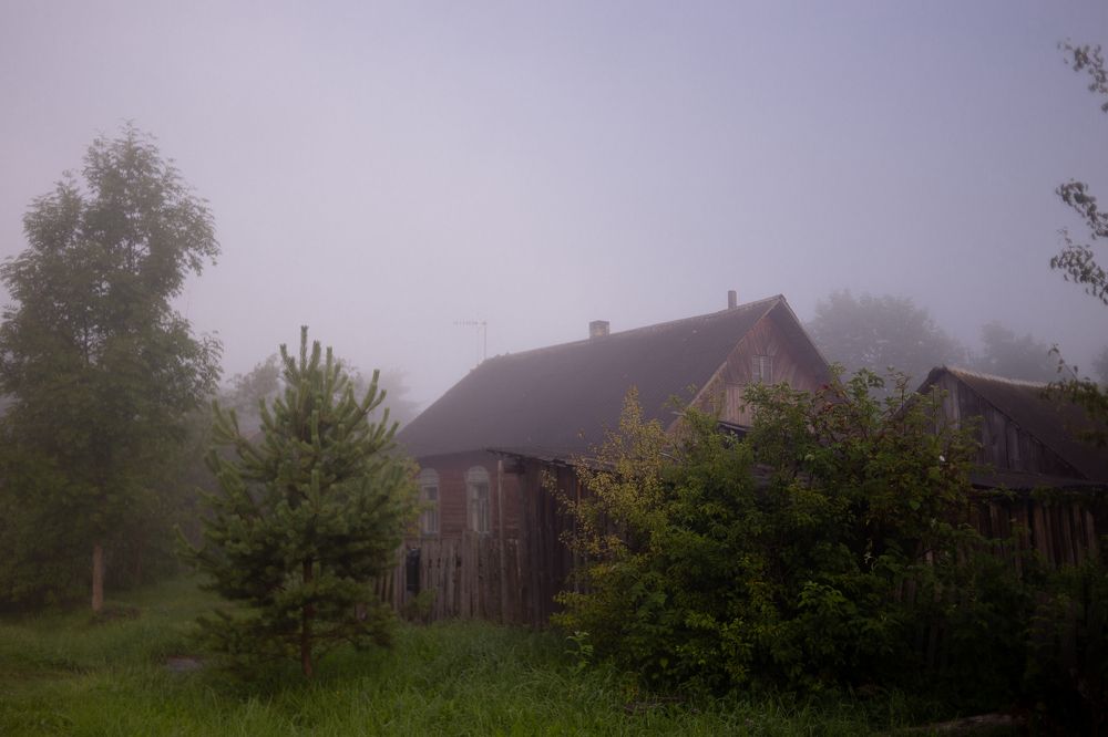 Photograph by Ирина Чалая