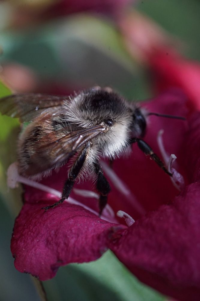 Photograph by Наталья Сенотрусова