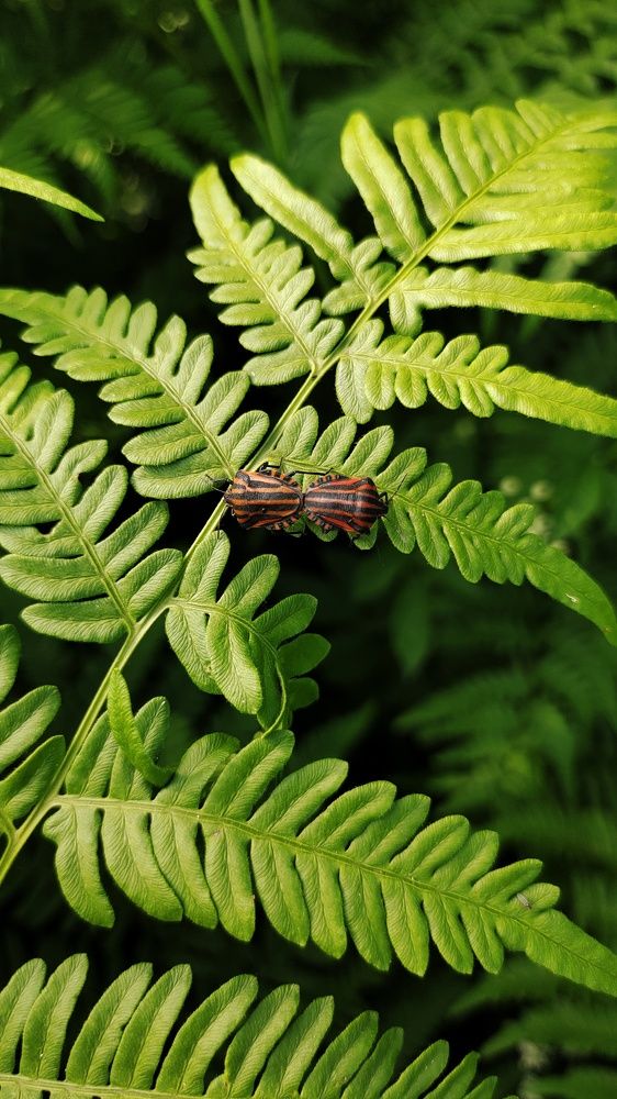 Photograph by Marina Green