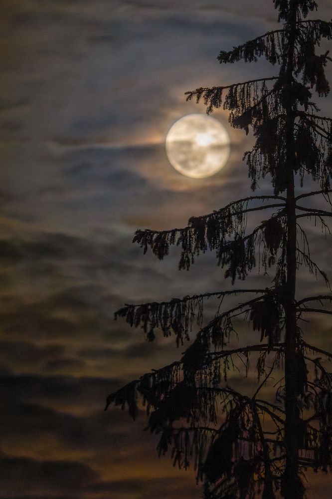 Photograph by Вячеслав Орос