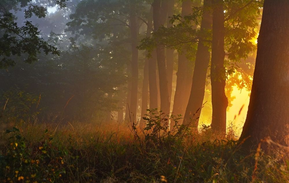 Photograph by Maciej Wydmuch