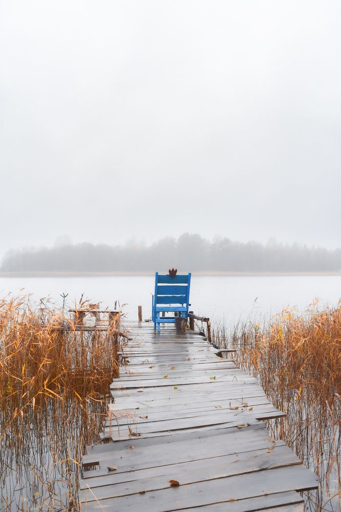 Photograph by Лариса Толкачёва