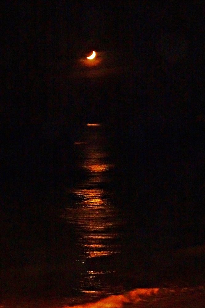 Photograph by Lyudmyla Chorney